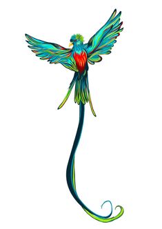 a colorful bird flying through the air with its wings spread out and it's tail extended