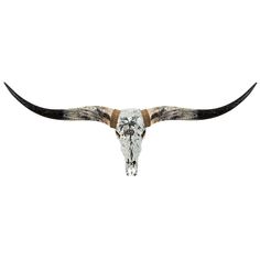 an animal skull with long horns on a white background