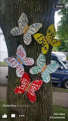 a tree with several different signs attached to it's bark and some cars parked in the background