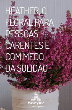 Heather | Floral para pessoas carentes Ayurveda