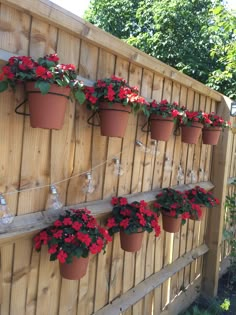 several flower pots are hanging on a wooden fence