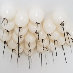 white balloons tied to the wall with black string and bow on them, all lined up in a row