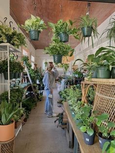 a man standing in a room filled with lots of potted plants