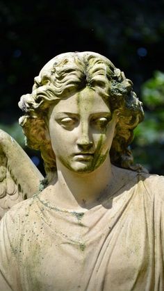 an angel statue is shown with its wings spread out to the side and it's eyes closed