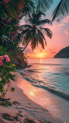 the sun is setting over the ocean with palm trees and pink flowers on the beach