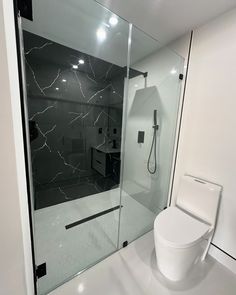 a white toilet sitting next to a walk in shower