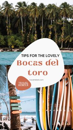 the beach with surfboards and palm trees in the foreground, text reads tips for the lovely bocas del toro