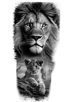 two pictures of lions and one is in black and white, the other has an image of