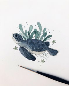 a drawing of a turtle with seaweed and starfish on it's back