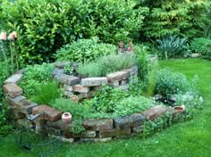 a garden with lots of green plants and rocks