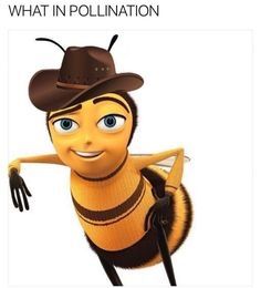 a cartoon bee wearing a brown hat and holding a microphone in one hand, with the caption what if celebration?