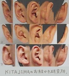 Ear Anatomy, Head Anatomy, 얼굴 드로잉, 얼굴 그리기, Human Figure Drawing, Face Drawing Reference, Body Reference Drawing, Anatomy For Artists, Anatomy References