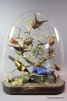 a glass dome filled with birds on top of a wooden base covered in leaves and branches