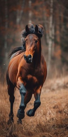 a brown horse running through a field with trees in the background