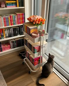 a cat sitting on the floor in front of a bookshelf with many books