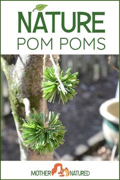 a close up of a plant with the words nature pom poms on it