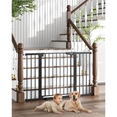 a baby and a dog laying on the floor in front of a stair rail with railings