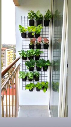 a balcony with plants growing on the wall and a video screen showing how to grow them