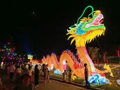 people are standing around in front of lighted dragon statues at night time with lights on them