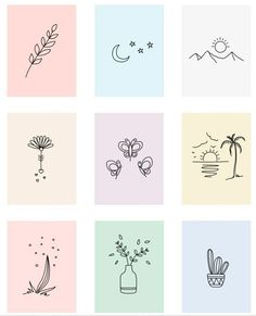 six different types of flowers and plants