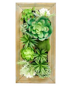 an arrangement of succulents and other plants in a wooden frame on a white background