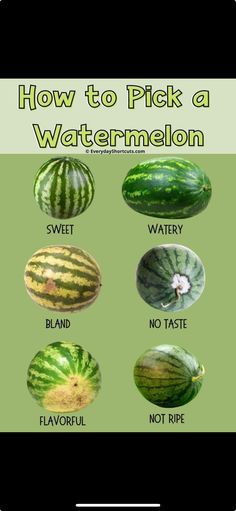 how to pick a watermelon