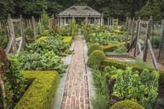 a garden with many different types of plants and trees in it, including bushes and shrubs