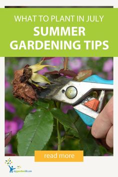 a person holding a pair of gardening shears in their hand with the words, what to plant in july summer gardening tips read more