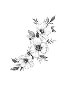 black and white flowers with leaves on the bottom half of their petals are drawn in pencil