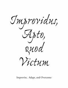 the title for an upcoming novel, instroidus asto and victim imppoviss, adaptit, and overcome