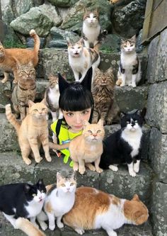 there are many cats sitting on the steps and one woman is standing in front of them