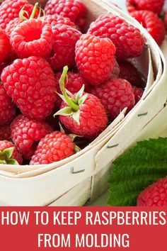 raspberries in a basket with the words how to keep raspberries from molding