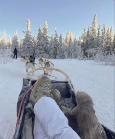 two dogs are pulling a sled with people on it in the snow near trees