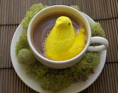 a yellow bird sitting in a cup of coffee