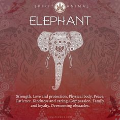 an elephant with intricate designs on it's head and the words, spirit animal elephant