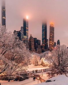 the city skyline is covered in snow as people walk through the park on a cold winter day