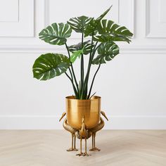 a potted plant with two birds standing on it's legs in front of a white wall