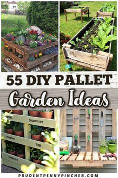 the top five diy pallet garden ideas