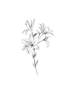 a black and white drawing of flowers on a white background