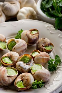 several snails with green sauce and parsley on a white plate, ready to be eaten