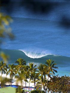 a man riding a wave on top of a surfboard in front of palm trees