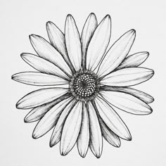 a black and white drawing of a flower