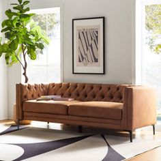 a living room with a couch, rug and potted plant in front of the window