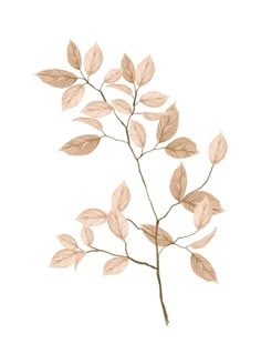 a branch with leaves is shown on a white background