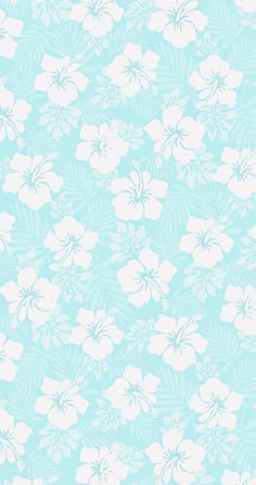 a blue and white flower wallpaper with large flowers on the bottom half of it