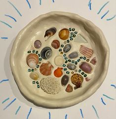 a white bowl filled with different types of seashells