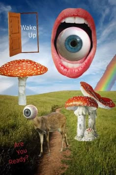 an eye is seen in the middle of a field with mushrooms, and a deer