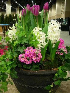 a pot filled with lots of purple and white flowers