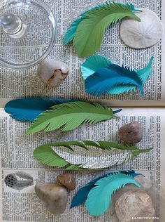 three different types of feathers sitting on top of a newspaper next to rocks and shells