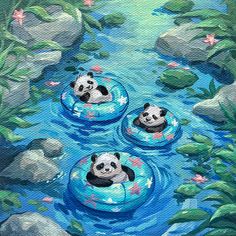 three pandas are floating on inflatable tubes in the water